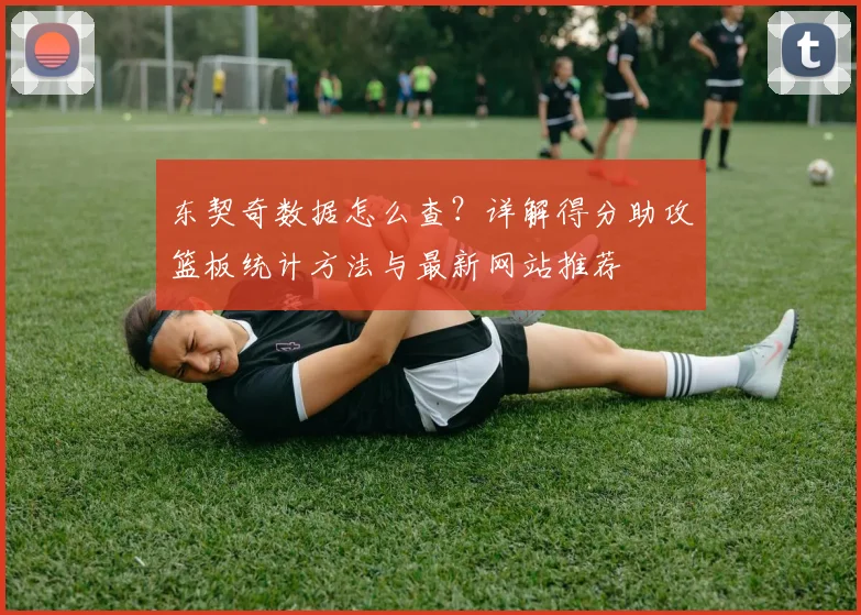 东契奇数据怎么查？详解得分助攻篮板统计方法与最新网站推荐